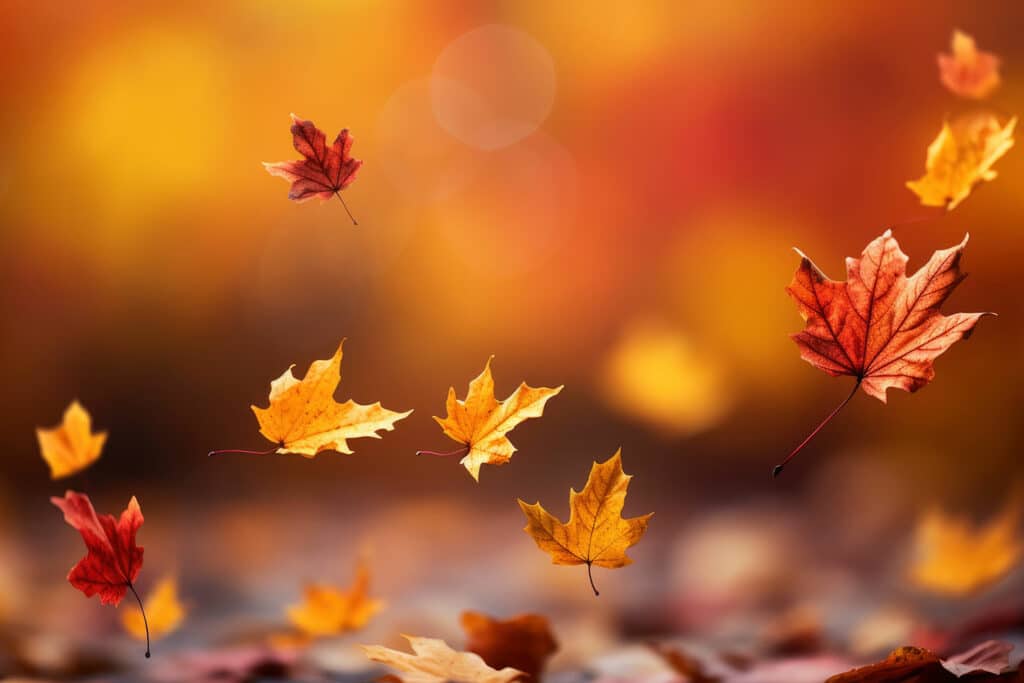 Jeseň je tu a s ňou aj naše novinky 🍁 1